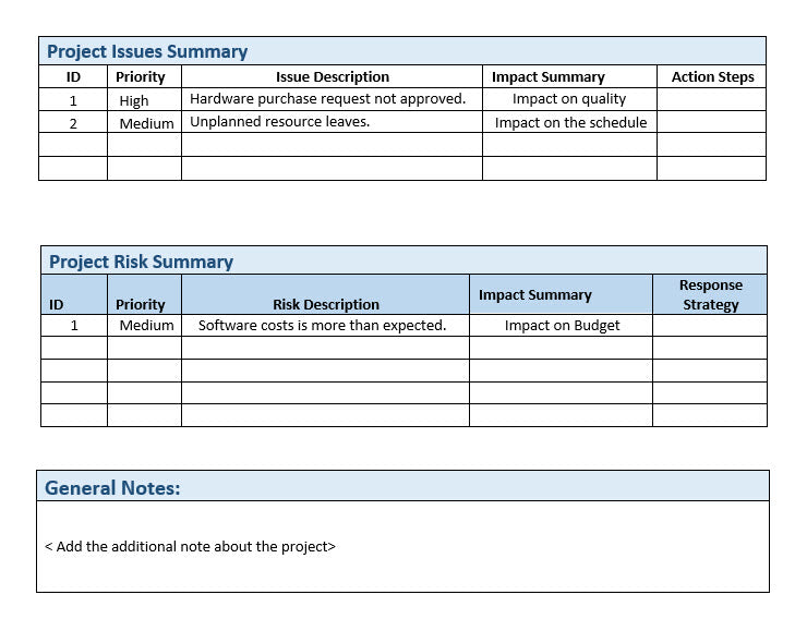 Project Status Report Issues Summary