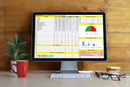 One Page Project Manager Excel